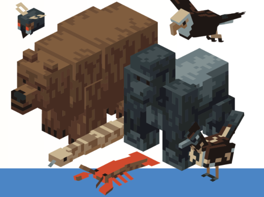 SKEMA Public Library Courses: Minecraft Mods Programming